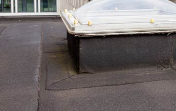 disadvantages of Moel Y Crio flat roofs