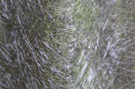 Moel Y Crio fibreglass roof work